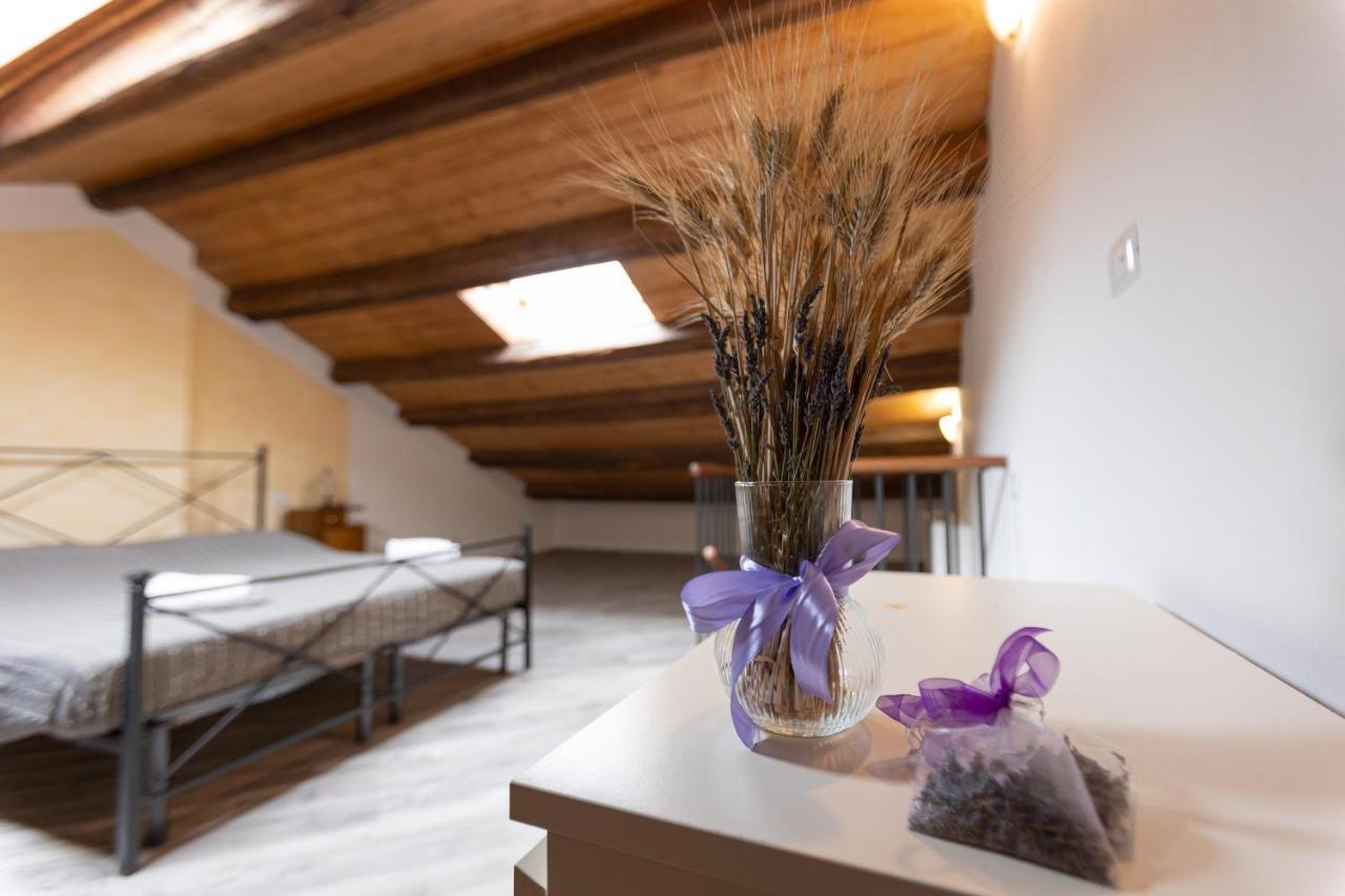 Agriturismo La Valle Della Lavanda - Podere Mezzastrada Fauglia Ngoại thất bức ảnh
