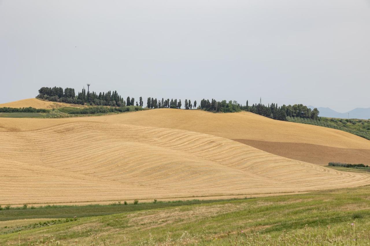 Agriturismo La Valle Della Lavanda - Podere Mezzastrada Fauglia Ngoại thất bức ảnh