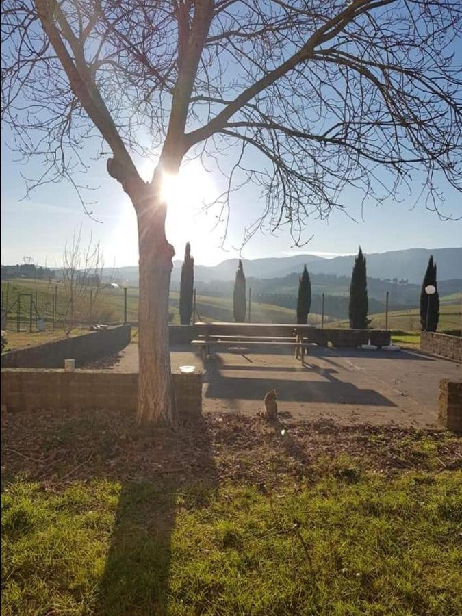 Agriturismo La Valle Della Lavanda - Podere Mezzastrada Fauglia Ngoại thất bức ảnh