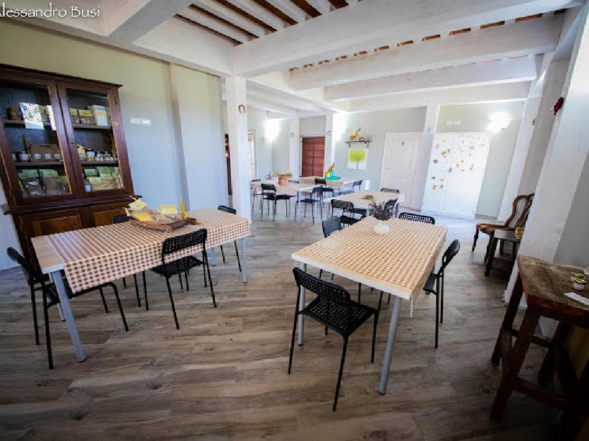 Agriturismo La Valle Della Lavanda - Podere Mezzastrada Fauglia Ngoại thất bức ảnh