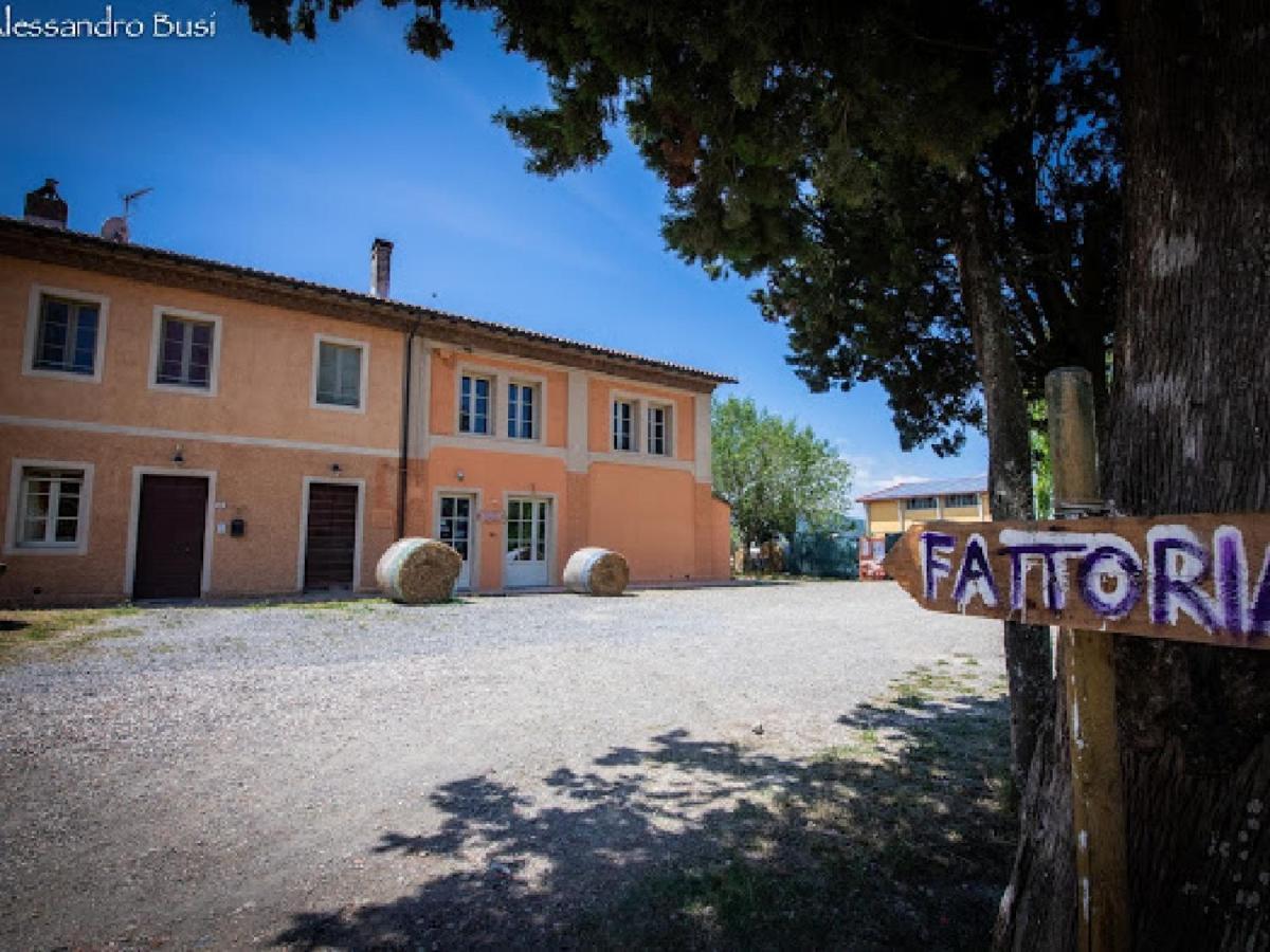 Agriturismo La Valle Della Lavanda - Podere Mezzastrada Fauglia Ngoại thất bức ảnh