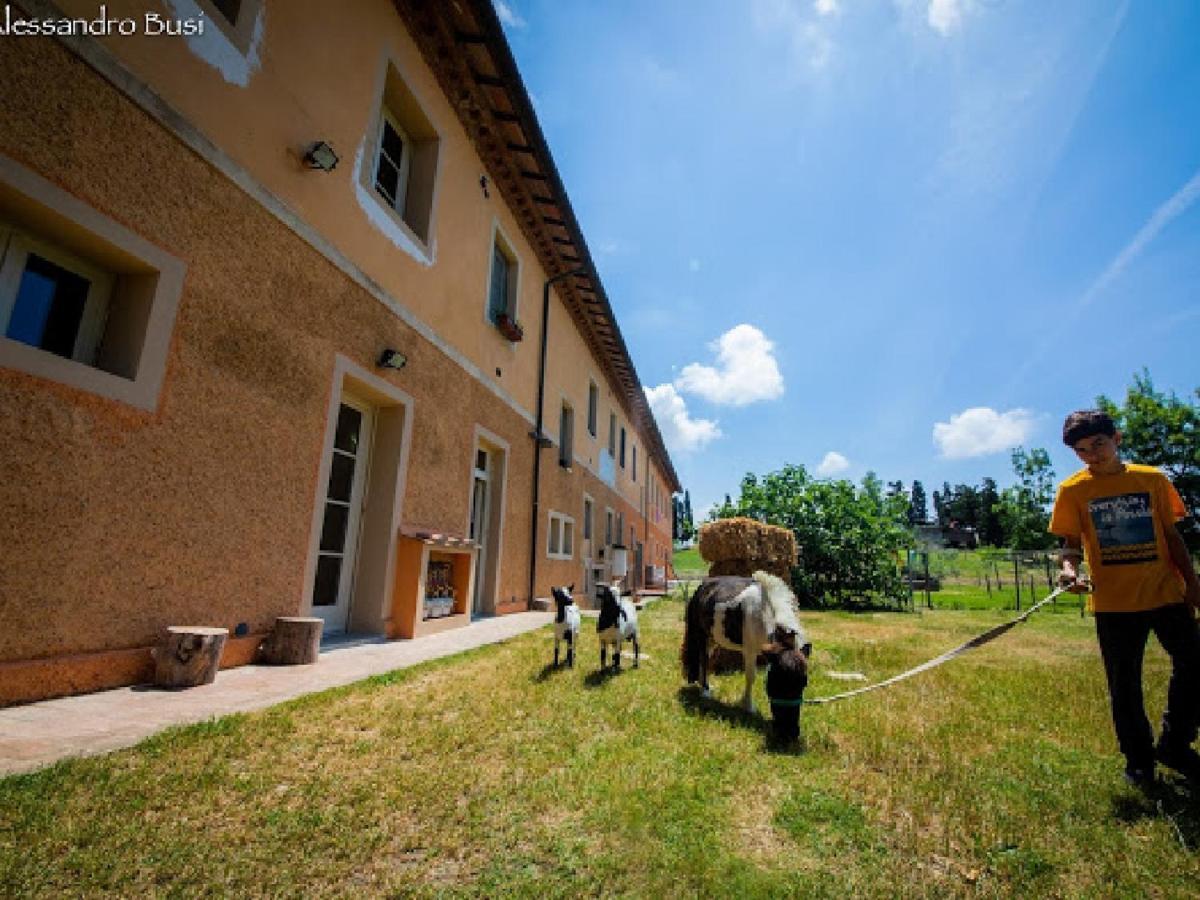 Agriturismo La Valle Della Lavanda - Podere Mezzastrada Fauglia Ngoại thất bức ảnh